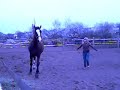 poskromienie z?o?nicy-Sonia (ja),Ole?ka,Morienta