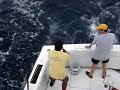 Best fishing day!! Marlin & sailfish in Cancun