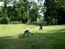 Gym-black-stics