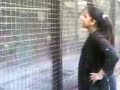 Chatin 2 Da Birds