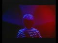 The delays - Lost in a melody