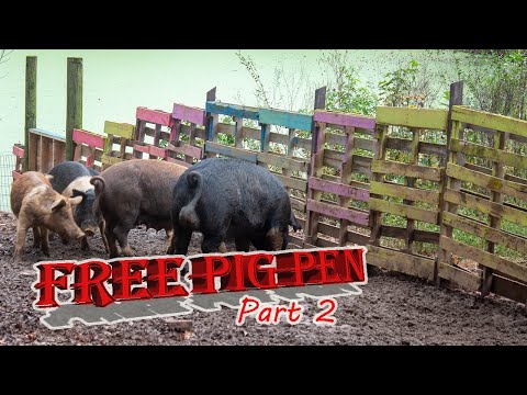 Pigpen - Making a pig pen on a budget part 2, the gate.