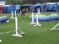 Agility hopp 3 Bor�s Zorro