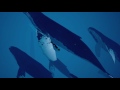 Abzu - Swimming with whales