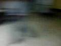 videos de de gira en emiliano zapata