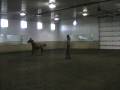videos de Spice It Upp - Arabian for sale