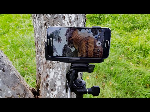 Click aici pentru vizualizare Filmare test Zoom cu Samsung Galaxy S6 Filmare test Zoom cu Samsung Galaxy S6