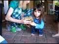 TUKE the red-eared slider TUKE the red-eared slider
