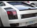 White Lamborghini Gallardo SE tuned Start and Accelerates
