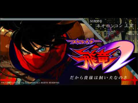 動画