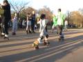 IT RUNS IN THE FAMILY - KELSEN & KAYDEN AT HYDE PARK - BANK HOLIDAY MONDAY 2009