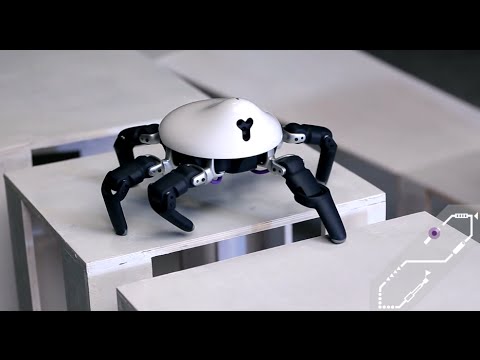 Hexa, Six-legged robot is agile and easily programmable