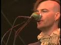 Dandy Warhols - Bohemian Like You (Live @ Pinkpop 2003)