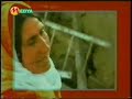 Mihemed Shexo - Ay L� Gul�