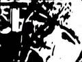 Youth Of America - Birdbrain