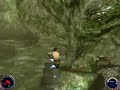 swamp