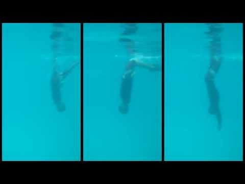 how to practice duck diving