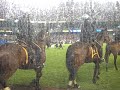 NYPD Cavalry at The Stadium