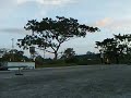 WOO ... POTPOT