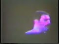 queen live at knebworth rare footage  part 5 