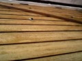 Blowing Dart + Homemade Airgun shot Blowing Dart + Homemade Airgun shot