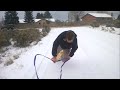 Click here to watch this video Fail
