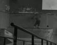 Young Gunz Trashpark-First Edit By Truespin