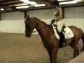 Novice Test A Novice Test A