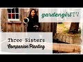 Vegetable Gardening: Three Sisters Companion Planting