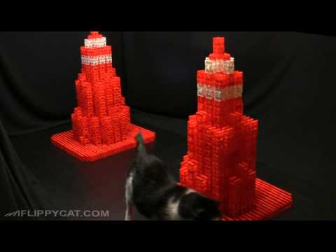 Construct Additional Pylons