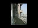 Steven Holl Architects 3_Linked Hybrid