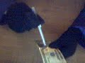 Pen Through Bill Pen Through Bill