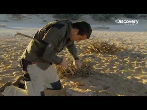 grylls - Bear Grylls' How To Stay Alive. http://www.discoverychannelasia.com/ http://www.facebook.com/DiscoverySEAsia.