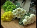 TVT NOTICIAS 29 OCTUBRE 2008 PRIMERA PARTE TVT NOTICIAS 29 OCTUBRE 2008 PRIMERA PARTE