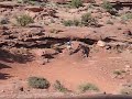 Unicyclist on Mountain Bike Trail