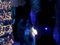 videos de 0293 335