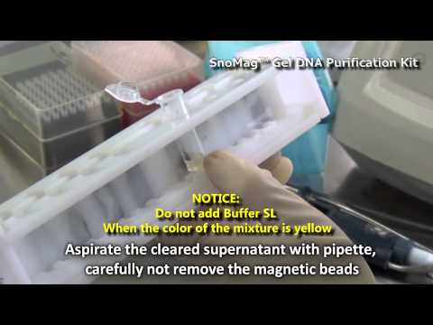 how to recover dna from agarose gel