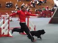 Cocker Trantor Braga - Agility 16/11/2008 Cocker Trantor Braga - Agility 16/11/2008