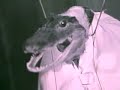 boombip and doseone-the birdcatcher\