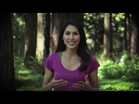 DVD: YoQi: Qigong Flow for a Happy Liver