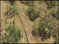 Paul Polak Pt.2-Paul Polak Talks About Poverty Alleviation