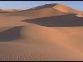 Libia: plantations in the Sahara desert Libia: plantations in the Sahara desert