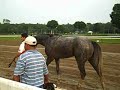 Macho Again post Dandy