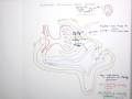 Glomerular Filtration Rate Part 2 Filtration Pressures