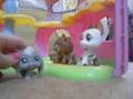 LPS Pop Princess (Episode #1)