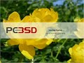 PC-BSD 1.3: Installation proccess