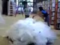 Library Olympics, Part 1