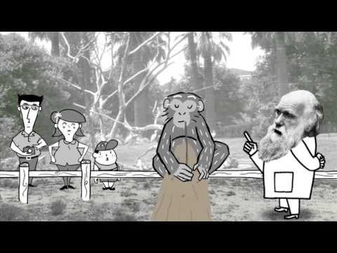 youtube-img
