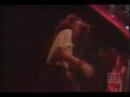 born to run  bruce springsteen
