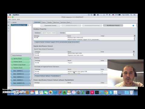 PRIDE Inspector Toolsuite: Peaks File